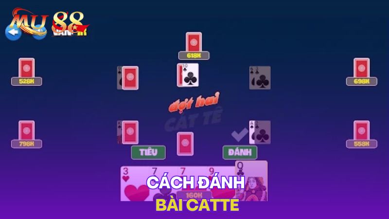 Cách đánh bài Catte