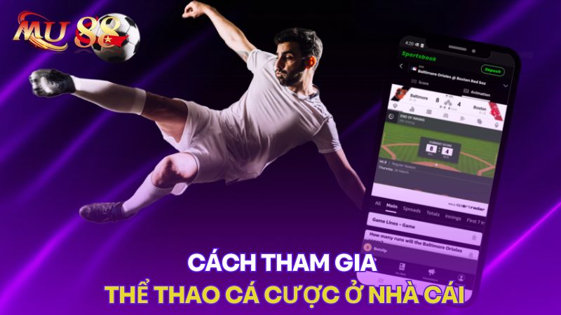 Cách tham gia thể thao cá cược ở nhà cái